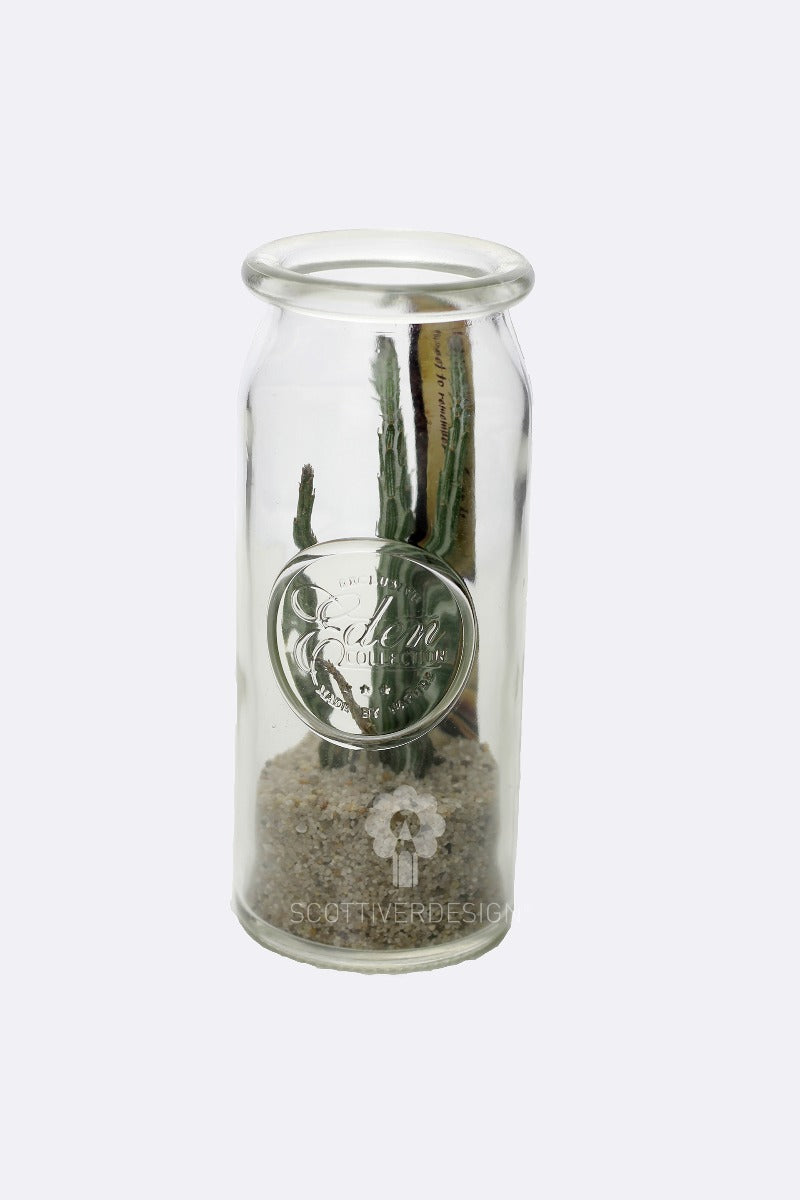 Bomboniere green: Mix piantine grasse in barattolo di vetro - GRASS & GLASS JAR