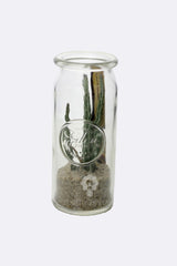 Bomboniere green: Mix piantine grasse in barattolo di vetro - GRASS & GLASS JAR