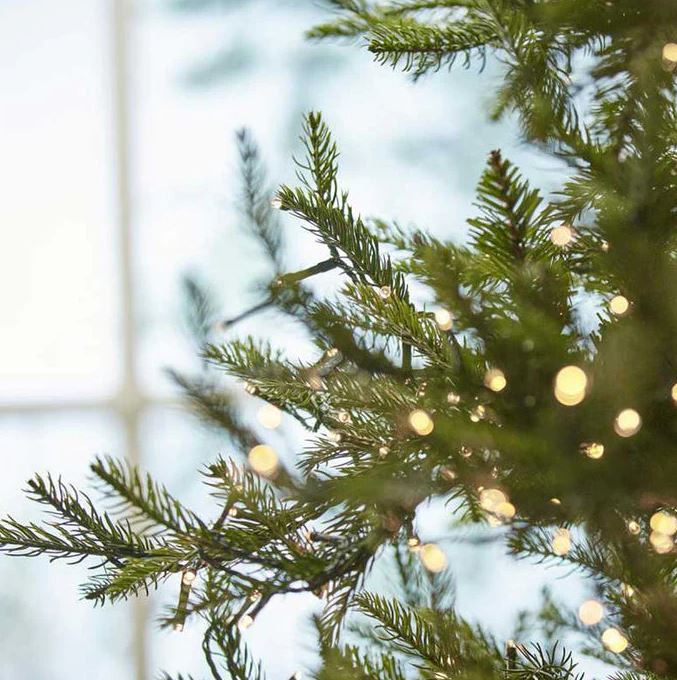 Pino Luxury New SLIM H240 con 4000 MiniLed - 685210