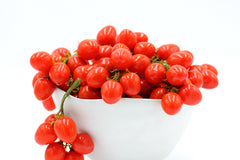 Pomodori ciliegino grappolo X16H20 - 250433