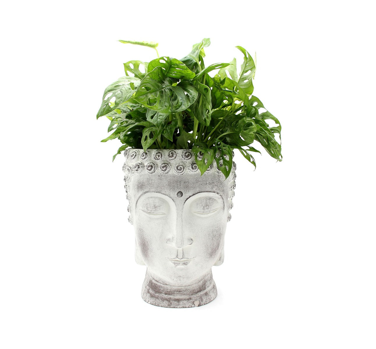 Vaso testa di Buddha H34 - 8420014-M