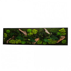 Quadro Vegetale Rettangolare con Verde Stabilizzato 115X25 - STAB-PANO-CAN
