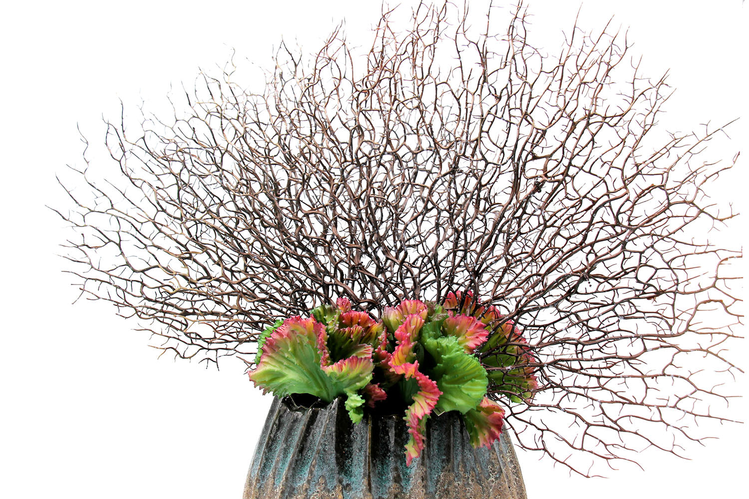 Euphorbia Crestata Artificiale - 232205