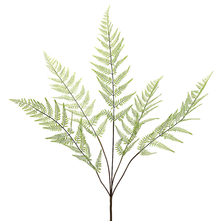 Ramo Felce Cespuglio H97 Cm - Piante Artificiali di Qualità - 2300197A771