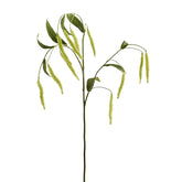 Tifa: rami decorativi per vasi o composizioni - 231575,71