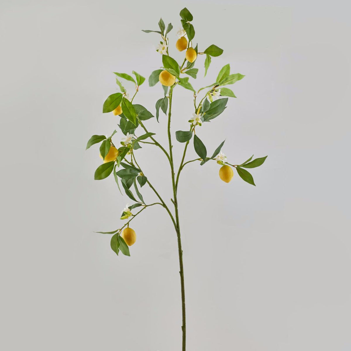 Limone: rami decorativi per vasi o composizioni - 250353,20