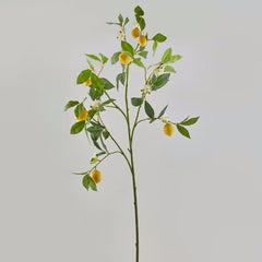 Limone: rami decorativi per vasi o composizioni - 250353,20