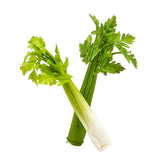 Sedano artificiale H28 : Verdura decorativa artificiale - 250666