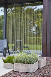 Set 2 ciotole Rough: vasi in cemento da esterno D&M - B413TP