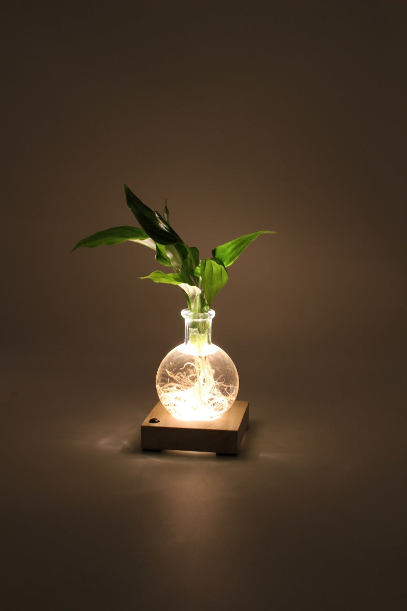 Spatifillo in sfera di vetro su base LED - Spatifillo-sfera-led-1-1