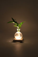 Spatifillo in sfera di vetro su base LED - Spatifillo-sfera-led-1-1