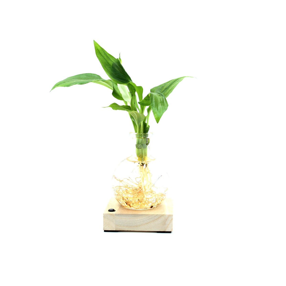 Spatifillo in sfera di vetro su base LED - Spatifillo-sfera-led-1-1