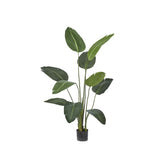 Strelitzia Artificiale H150 - 231635