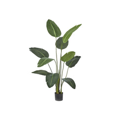 Strelitzia Artificiale H150 - 231635