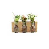 Tris Idroponico - tri-idroponico