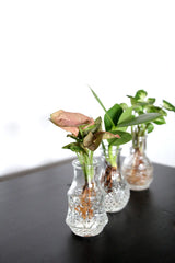 Tris Idroponico - tri-idroponico