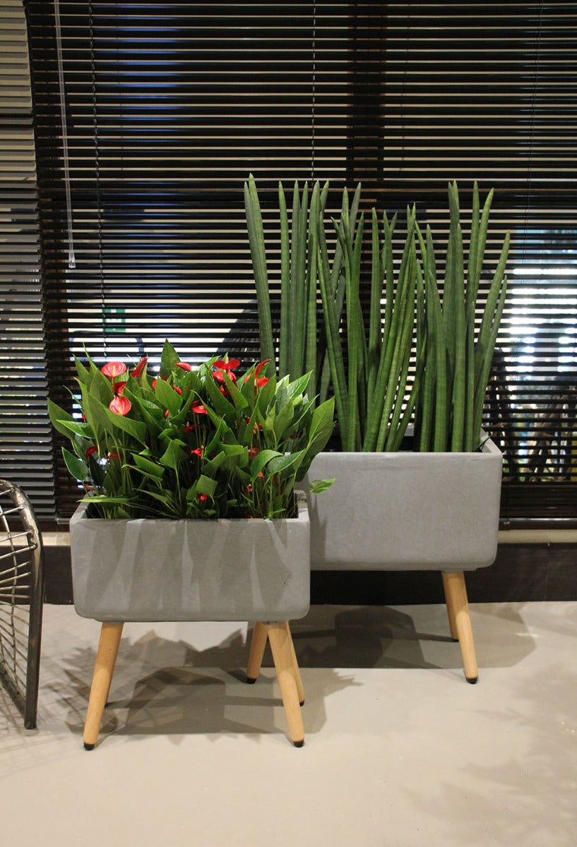 Vaso rettangolare in cemento e resina su gambe in legno - CONFIG0171