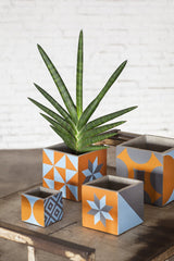 Vaso Marie Print Ass/4 - B7216815