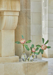 Vaso Viso Goccia : Vasi di design in vetro - 104596