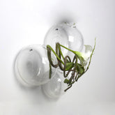 Beatrice | Ampolla di vetro portafiori da appendere al muro L - B0803818