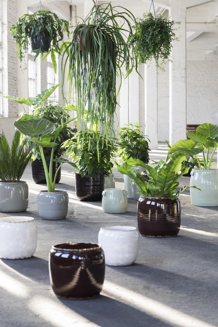 Cachepot Costa Marrone : Vasi design Serax - CONFIG0355