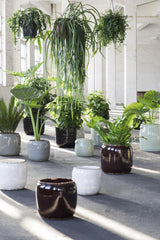 Cachepot Costa Marrone : Vasi design Serax - CONFIG0355