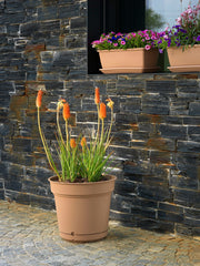 Vasi da esterno Hydral D38 in plastica Teraplast - CONFIG0088