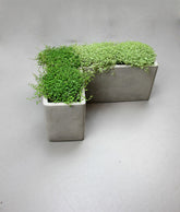 Memory angolo: vasi in cemento da esterno o da interno D&M - CONFIG0067