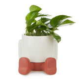 Vaso Porta Piante da interno Mr.Sitty Rosso H15 - 27525