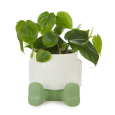 Vaso Porta Piante da interno Mr.Sitty Verde H15 - 27527