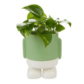 Vaso Porta Piante da interno Mr.Standy Verde H20 - 27524