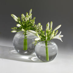 Vaso Ampolla monofiore in vetro D10 - B0804208