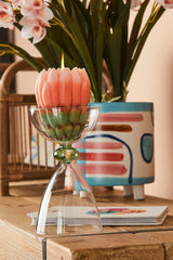 Vaso coppa in vetro H19 - 104544