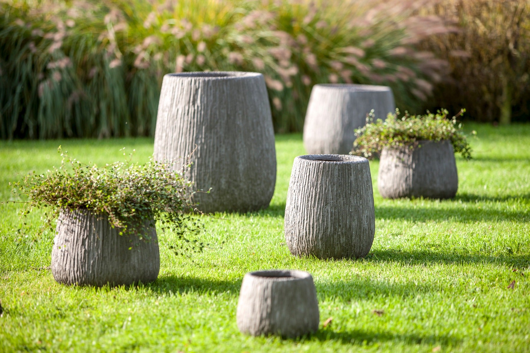 Set Carve: 2 vasi in cemento da esterno D&M - B187DGI