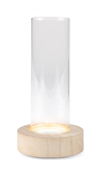 Vaso portafiori in vetro su base in legno con led H18cm - 2202233
