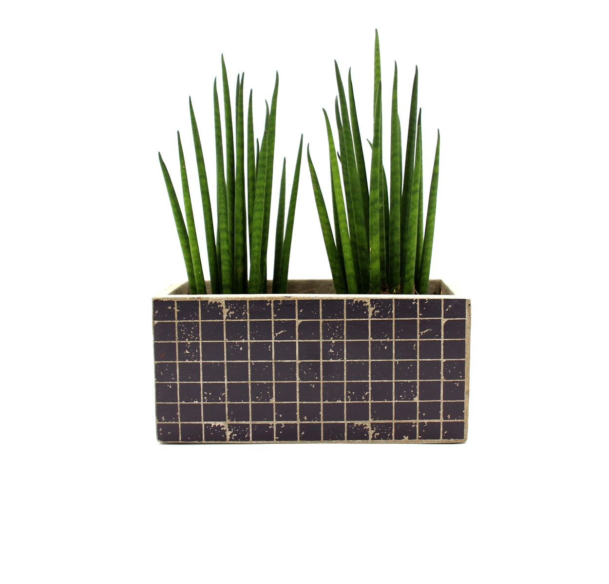 Cachepot Marie Mosaico Blu rettangolare : vasi in cemento Serax - B7217006-Blu