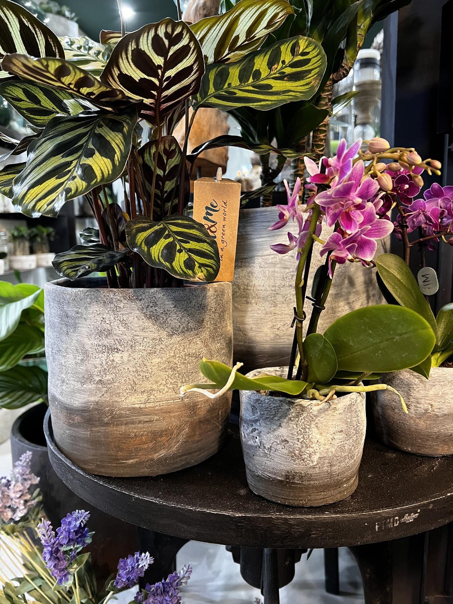 Vaso Rustic | Vasi di design in cemento - CONFIG0332