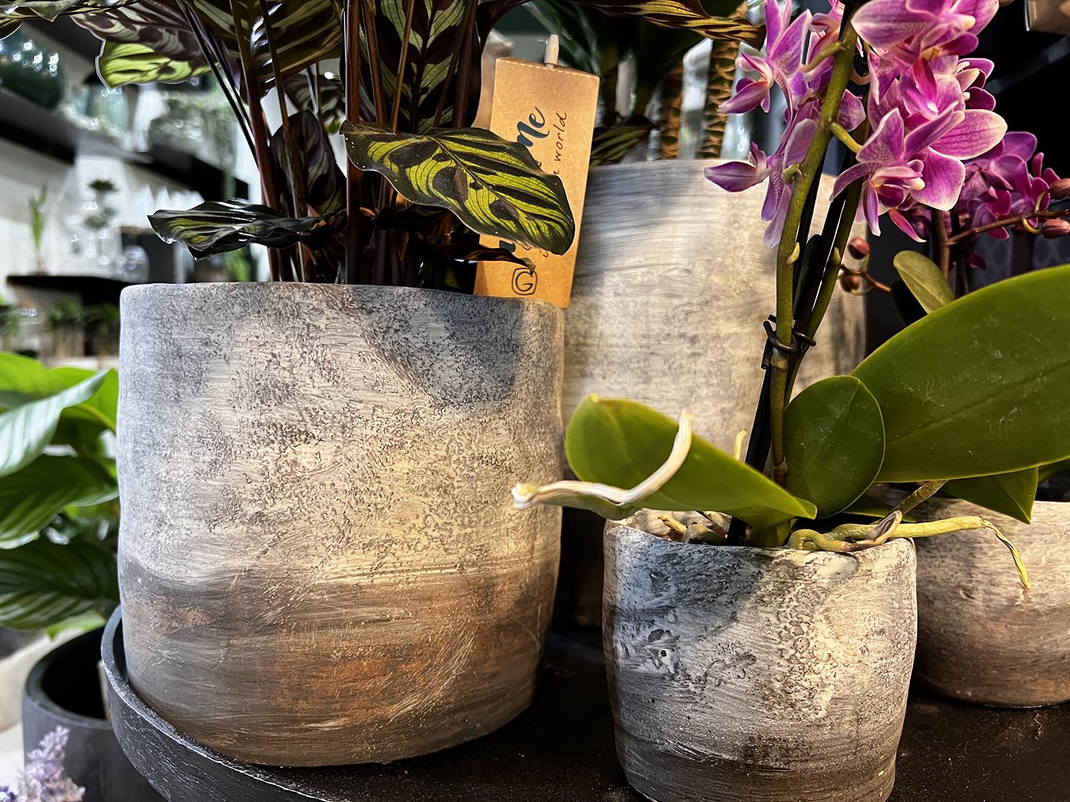 Vaso Rustic | Vasi di design in cemento - CONFIG0332