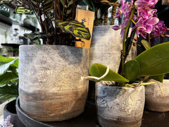 Vaso Rustic | Vasi di design in cemento - CONFIG0332