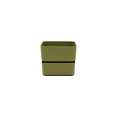 Vaso Veleta Olive 9CM | Vasi di design in plastica colorata TERAPLAST - 08768009-313