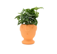 Vaso Viso in ceramica arancione - MN20-40-A