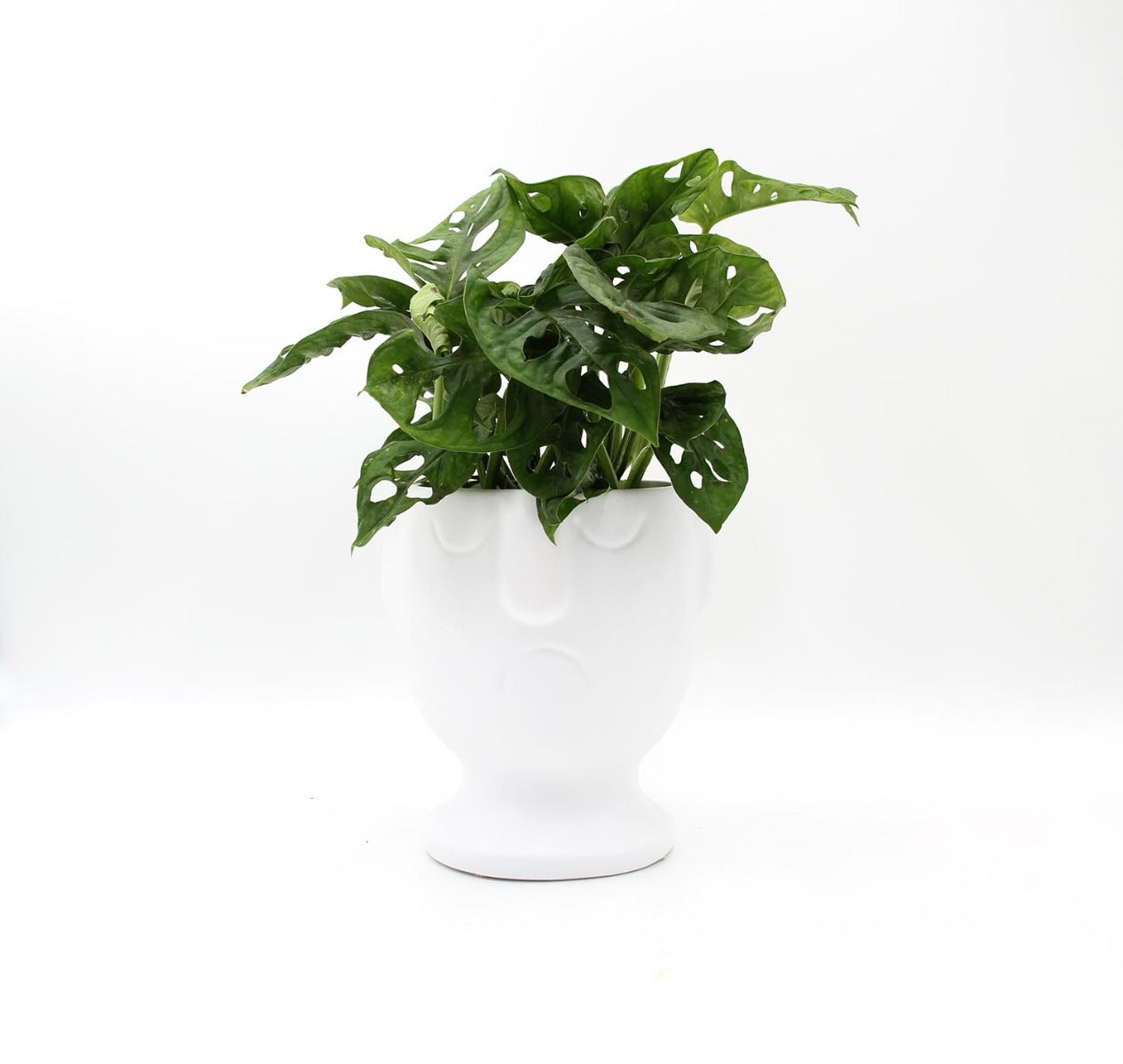 Vaso Viso Mah in ceramica bianca - MN20-40B-Mah