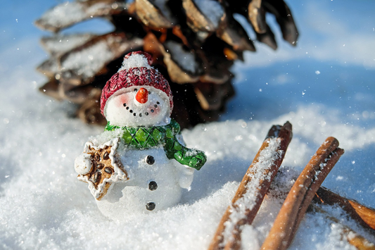 Decorazioni Esterne per Natale