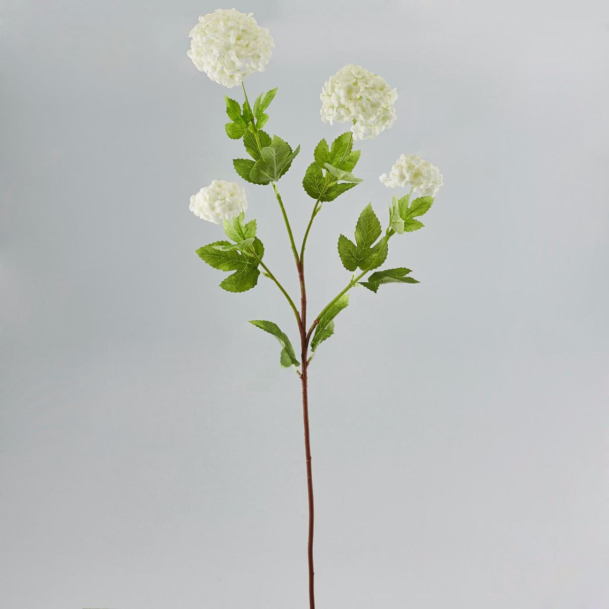 Fiori di Viburno palla di neve L: fiori artificiali di alta qualità  - 212983,10