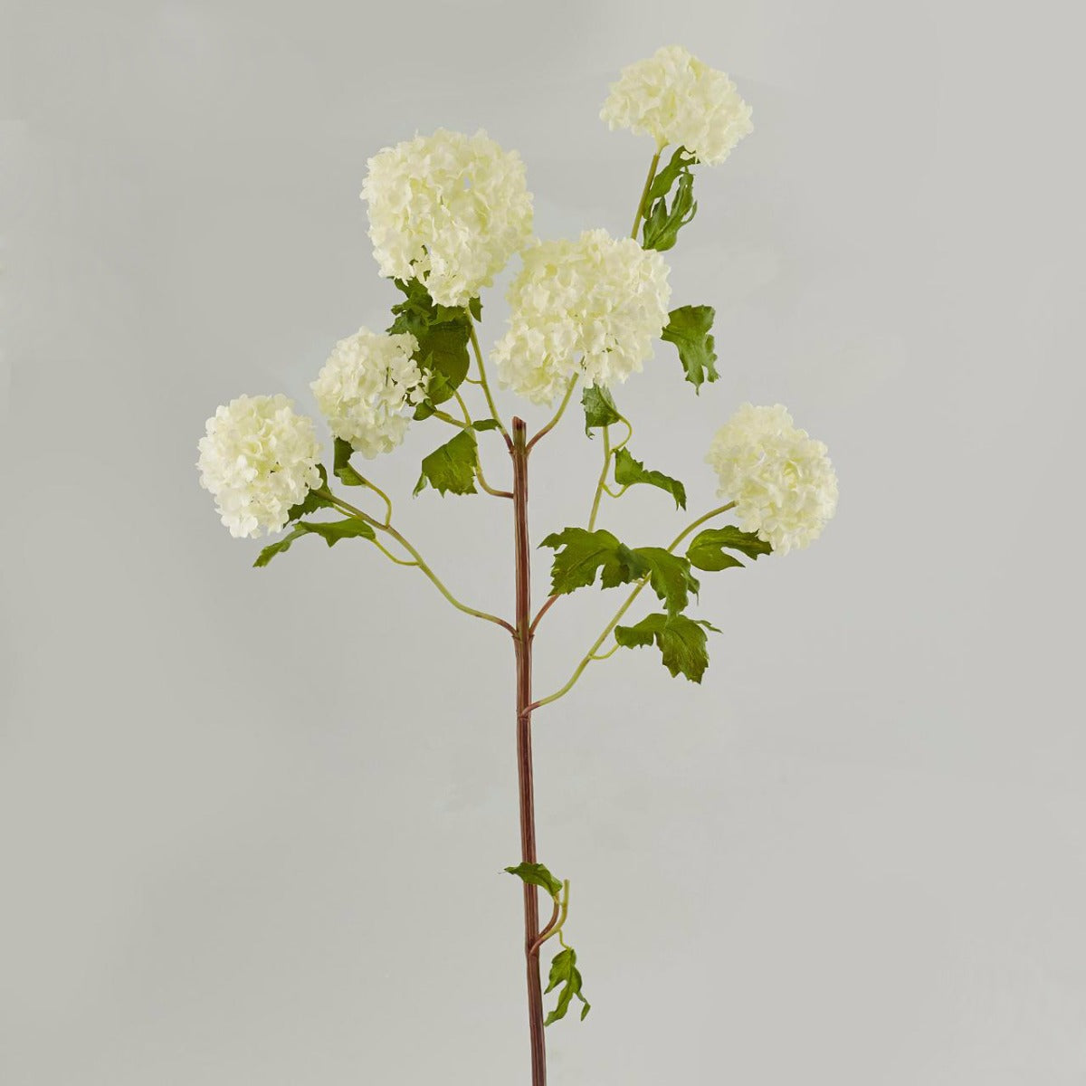 Fiori di Viburno palla di neve XL: fiori artificiali di alta qualità  - 213732,10