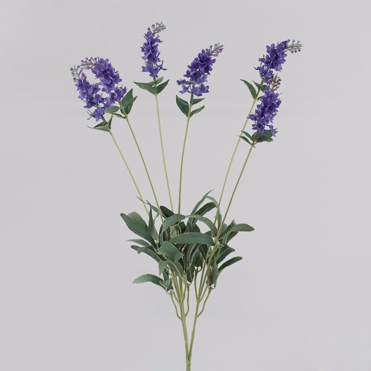 Lavanda Viola: piante artificiali di qualità  - 213755,61