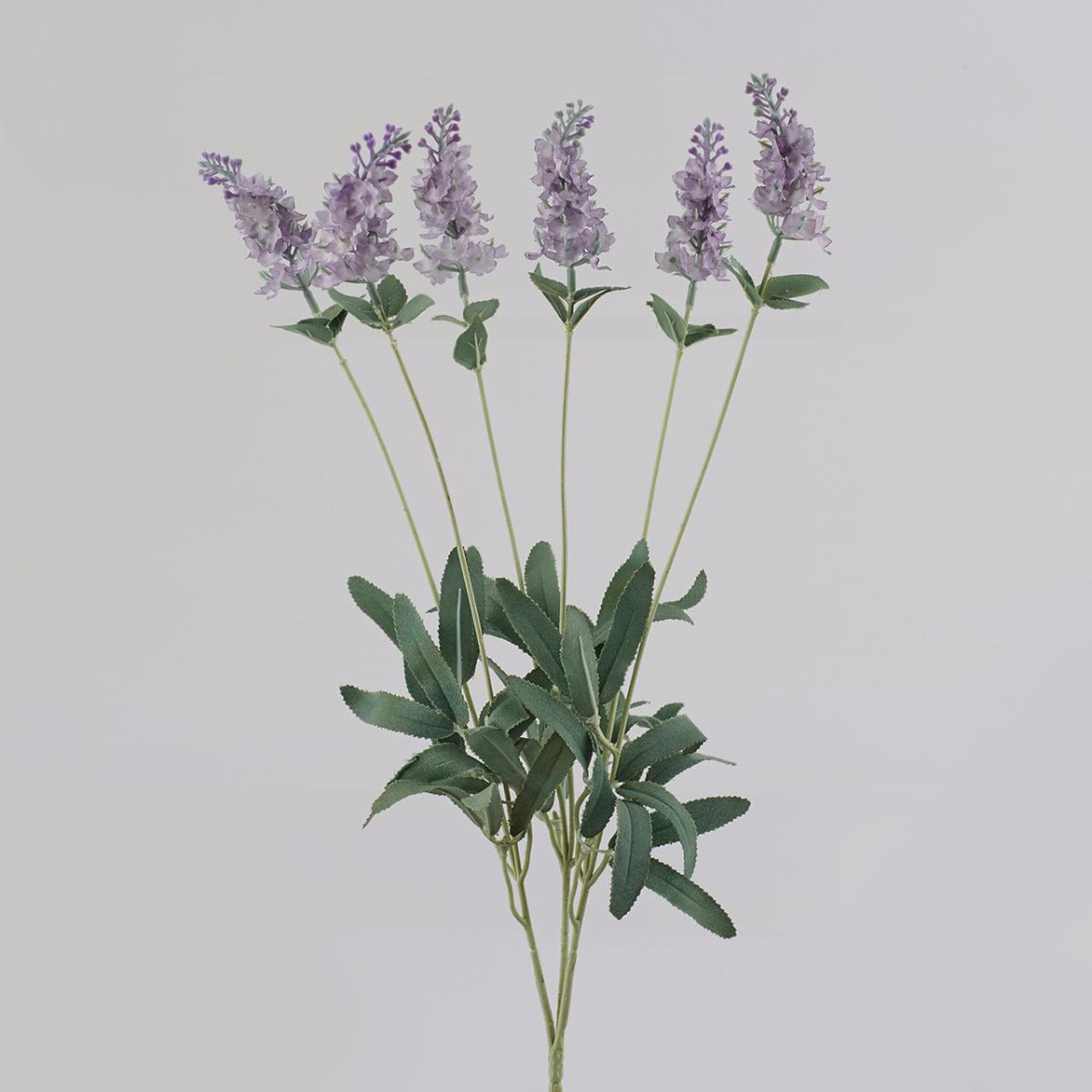 Lavanda Lilla: piante artificiali di qualità  - 213755,63