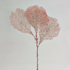 Gorgonia Rosa H66: ramo decorativo di corallo finto - 231098,34