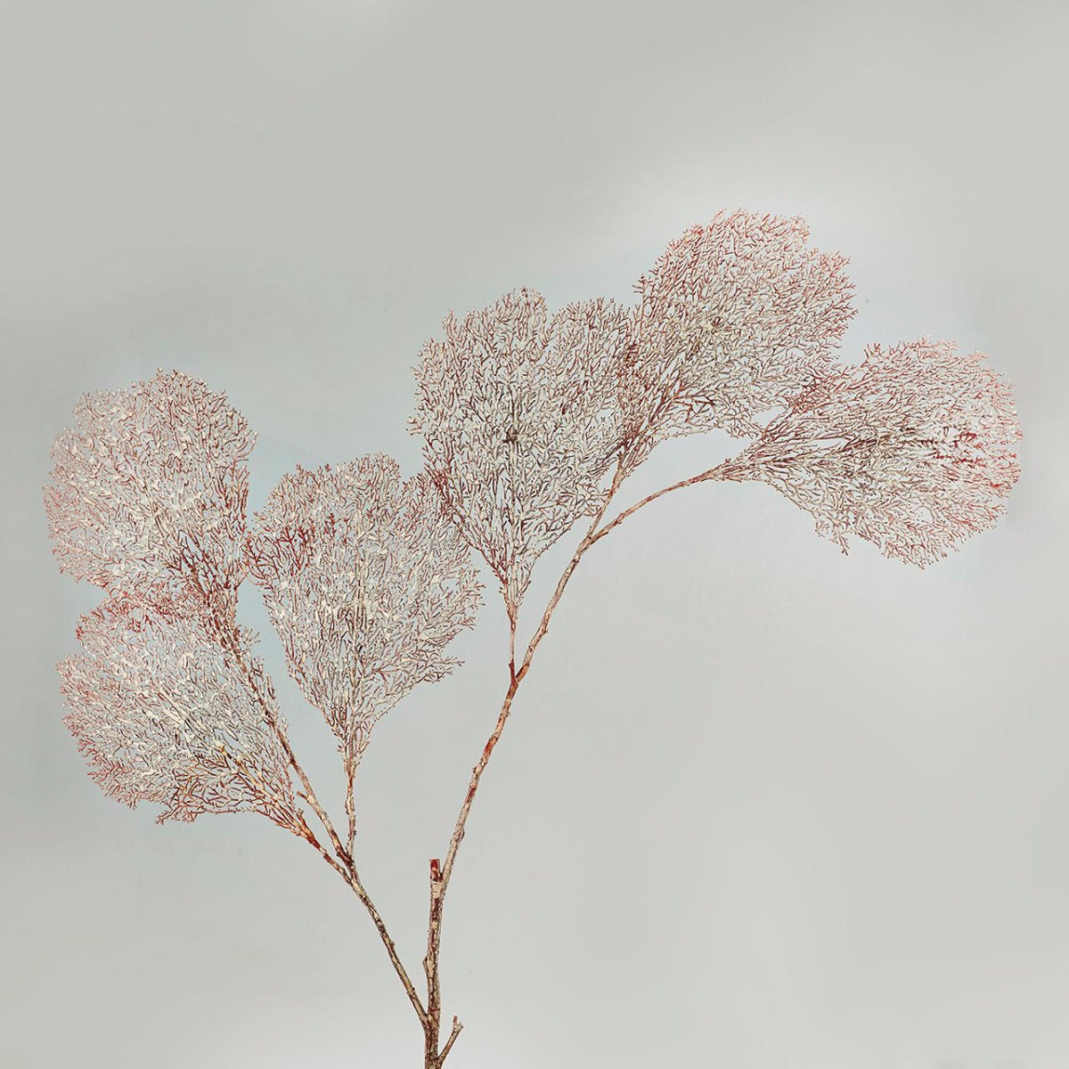 Gorgonia Rosa H86: ramo decorativo di corallo finto - 231099,34