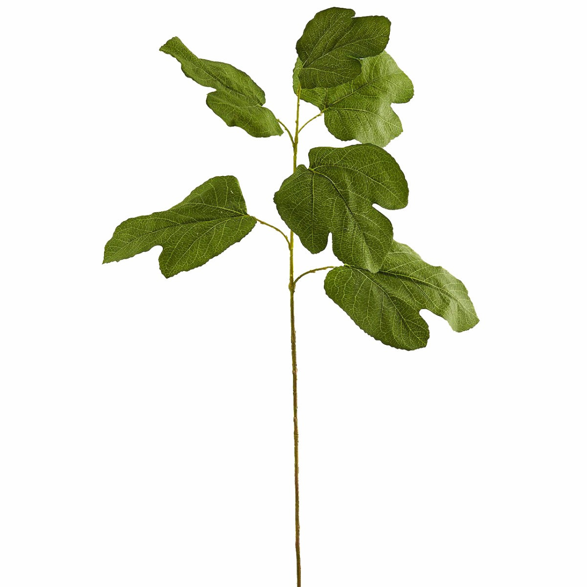 Zucca: rami decorativi per vasi o composizioni - 231578,70